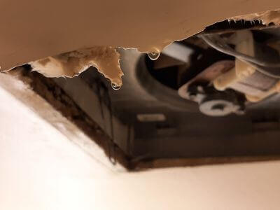 Professional basement flood restoration services services in Colorado Springs